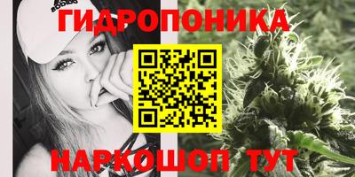 дмт Гусь-Хрустальный