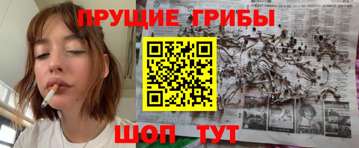 Псилоцибиновые грибы мицелий Мариинск
