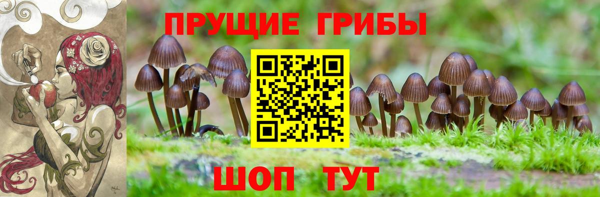 Мариинск  Галлюциногенные грибы мухоморы  Вход с VPN  Псилоцибиновые грибы мицелий 